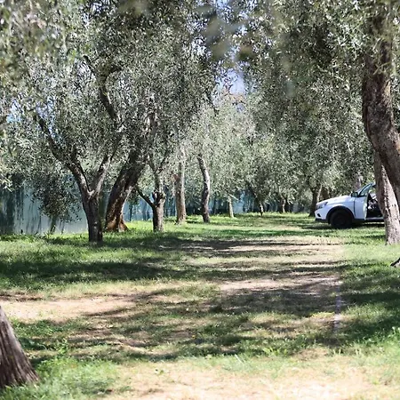 Kemping Agricampeggio Paradiso Brenzone sul Garda